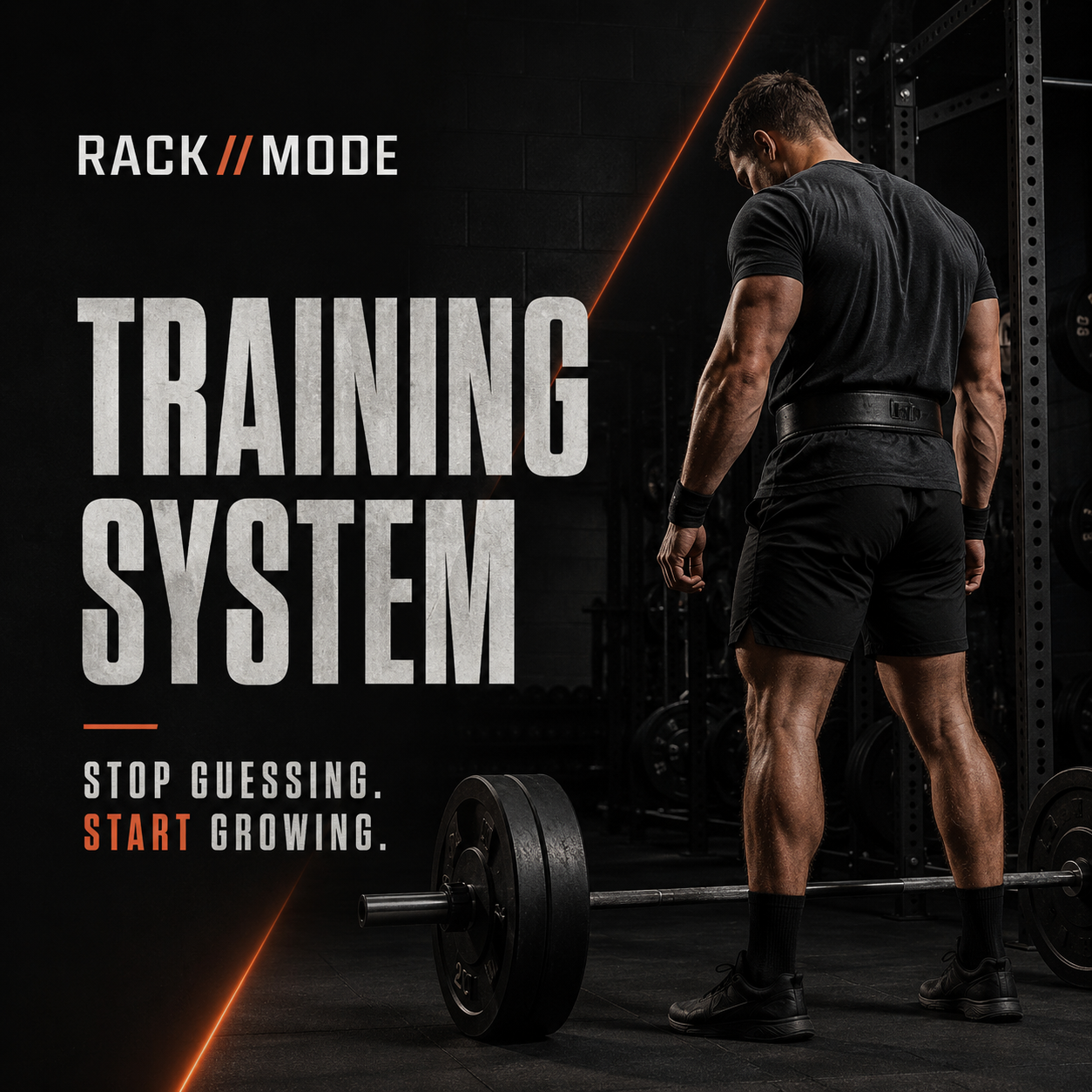 12-Week Training System